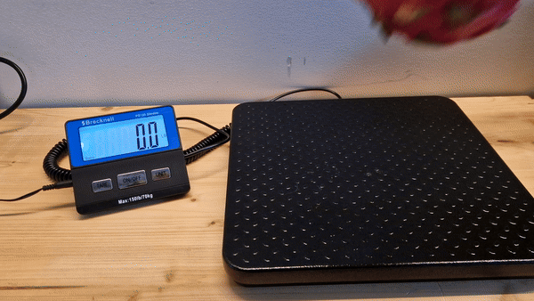 Label Capture workflow for scanning 7-segment displays