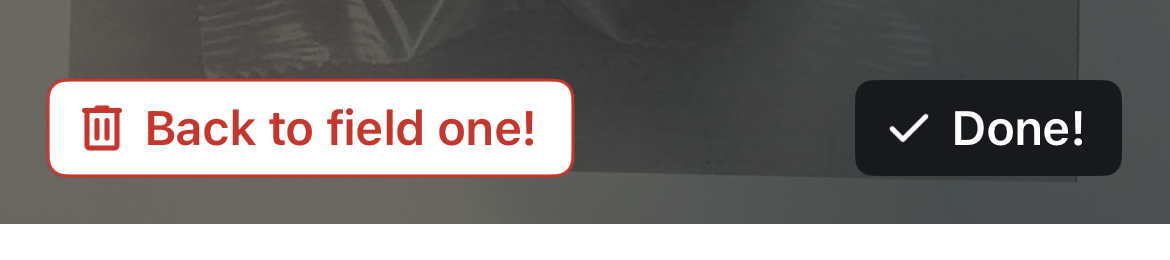 Button text in French